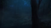 1280x720