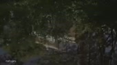 640x360