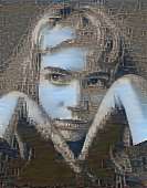 1256x1600