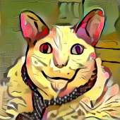 800x800