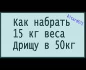 352x288