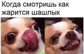 559x366