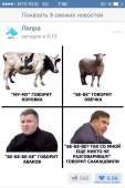 600x900