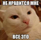 493x480