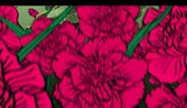 828x480