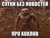 604x457