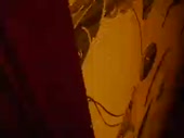 320x240