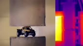 450x254