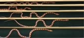 640x292