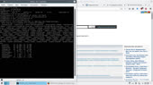 1366x768