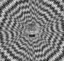 386x369