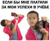 409x343