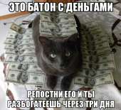 579x530