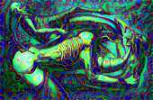 1216x800