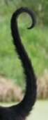 83x202