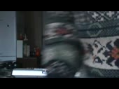 320x240