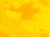 320x240