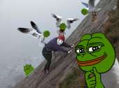480x360