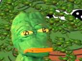 480x360