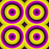 336x336
