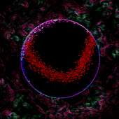 800x800