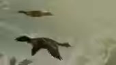 200x112