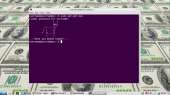 1366x768