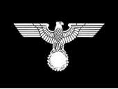 300x226