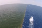 460x306