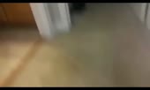 600x360