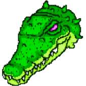 480x480