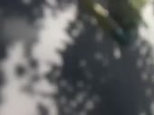 480x360