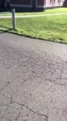 240x426