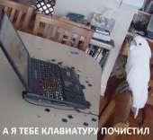 720x662
