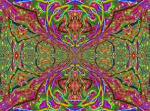 1000x739