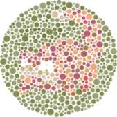 199x200