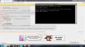 1366x768