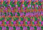 1027x732