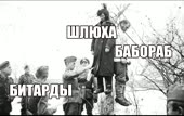 960x608