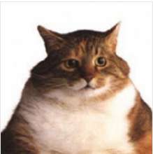 222x223