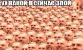 539x328