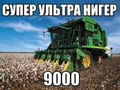 643x487