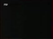 320x240