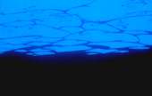 250x160