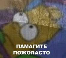 500x440