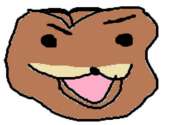 479x354