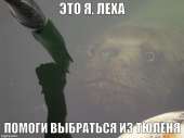 640x480