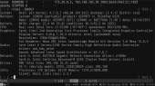 1366x768