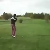 320x320