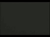 320x240